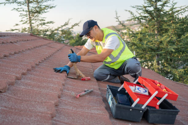 Best Roof Waterproofing Services  in Steubenville, OH